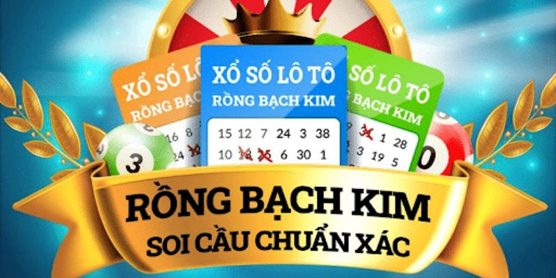 2 bước thực hiện nhanh để soi cầu rồng bạch kim hiệu quả